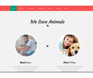 Web Design by Designer Tofayel