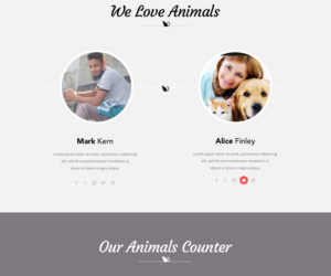 Web Design by Designer Tofayel for Francis Walsh | Design: #21030137