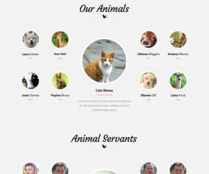 Web Design by Designer Tofayel for Francis Walsh | Design: #21030138