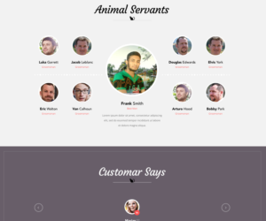 Web Design by Designer Tofayel for Francis Walsh | Design: #21030140
