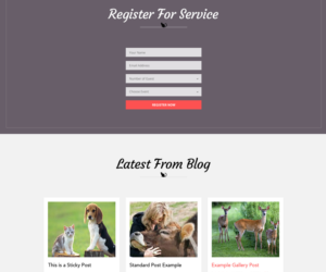 Web Design by Designer Tofayel for Francis Walsh | Design: #21030148