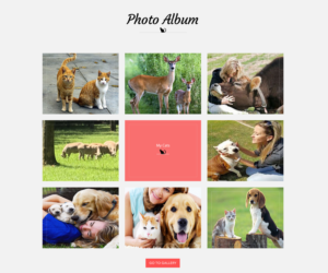 Web Design by Designer Tofayel for Francis Walsh | Design: #21030149