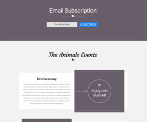 Web Design by Designer Tofayel for Francis Walsh | Design: #21030151