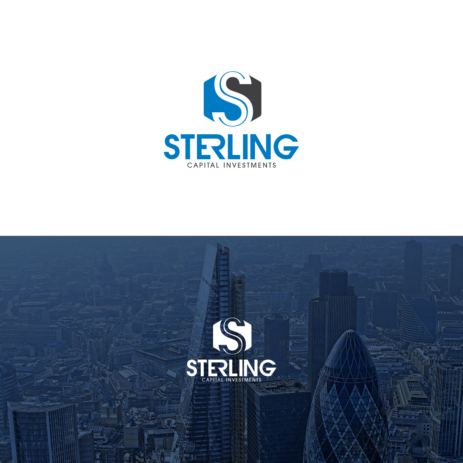 Logo Design by Maxo-Biz for this project | Design #20998309