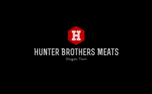 Logo Design by GAV design