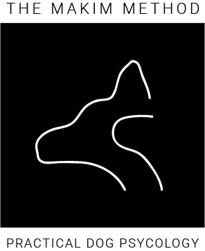 Logo Design by CastConcepts