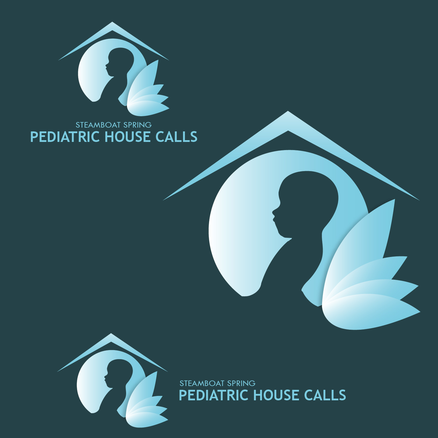 Logo Design by ZD STUDIO for Steamboat Springs Pediatric House Calls | Design #21016153