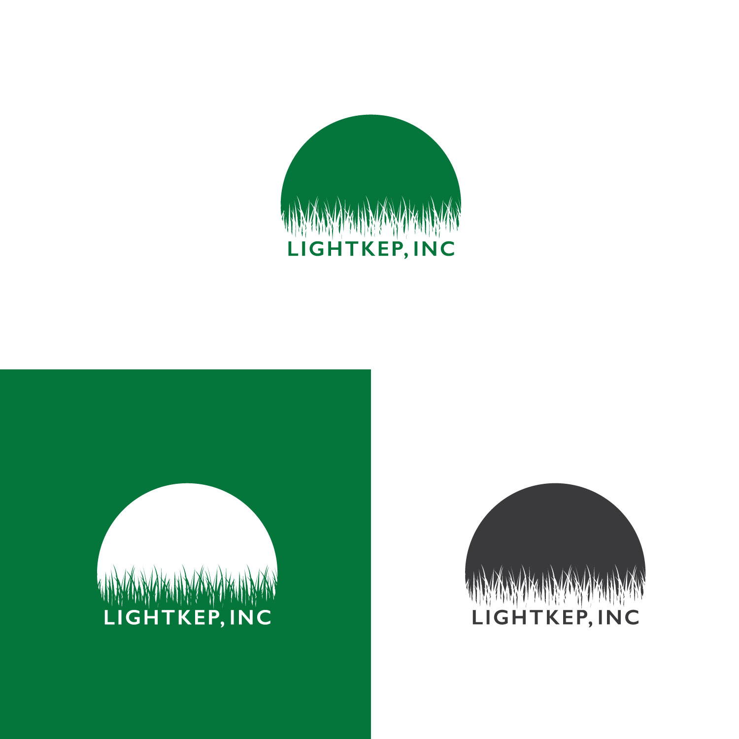 Logo Design by LogoToGoStudio for David H. Lightkep, Inc. | Design #21004857