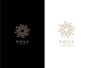 Logo Design by BigHero