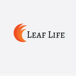 Logo Design by prologo4u