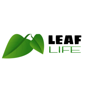 Logo Design by Hamzamalik 3