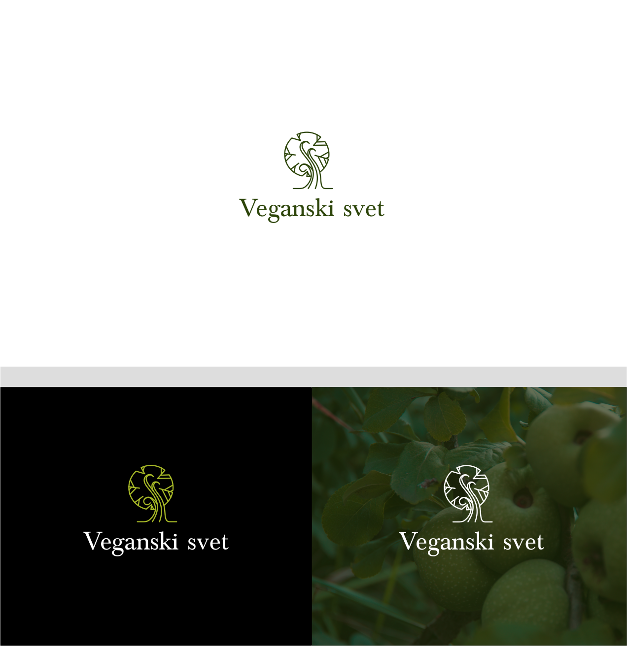 Logo Design by *mary for V&D Evolution, Denis Stojko s.p. | Design #21029807