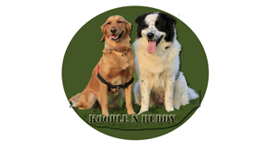 Logo Design by BeeandBii