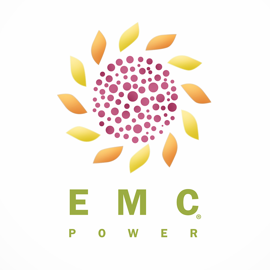 Diseño de Logo por Mahmoud para este proyecto | Diseño #2925765