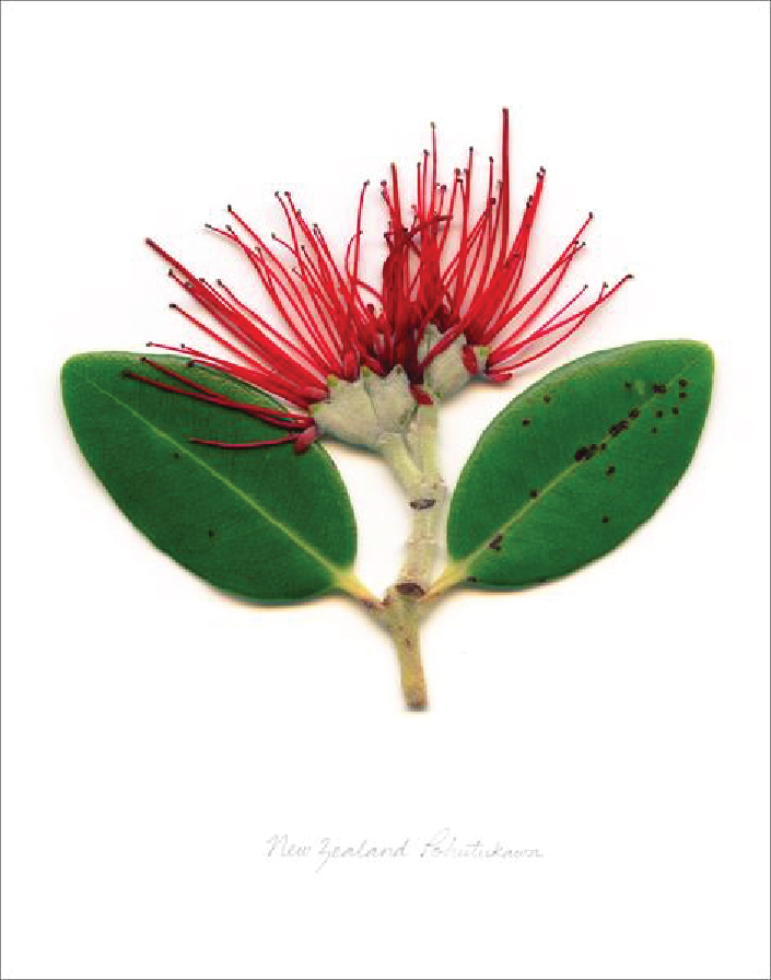 Logo Design by ngahoang1711 for Auckland Women Lawyers' Association | Design #21188690