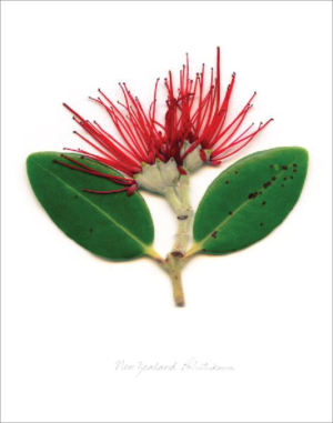 Logo Design by ngahoang1711 for Auckland Women Lawyers' Association | Design: #21188690