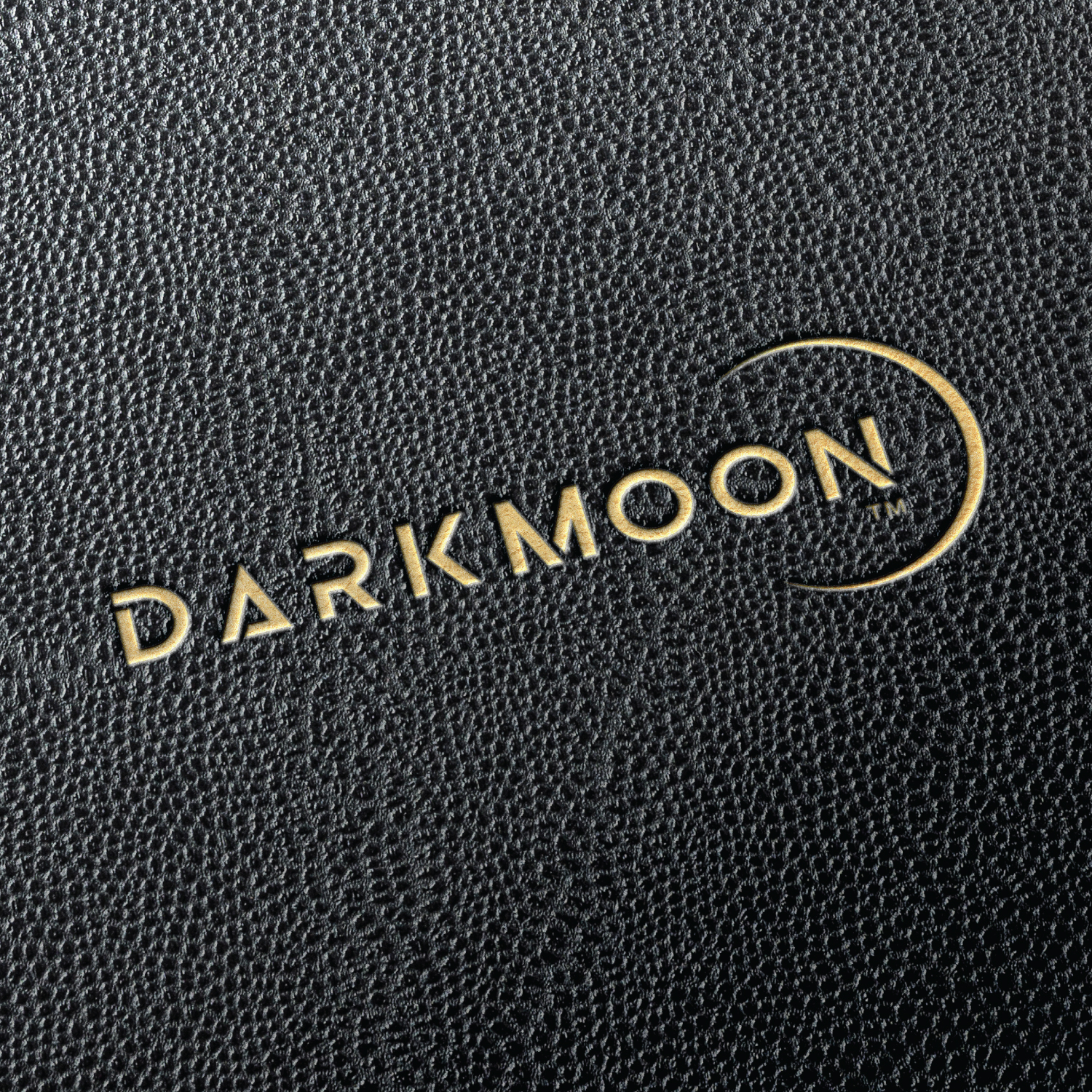 Logo Design by ChicGraphix for GoldNetwork Sarl | Design #21071758