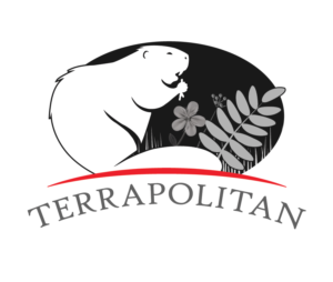 Logo Design by AZ Ghauri