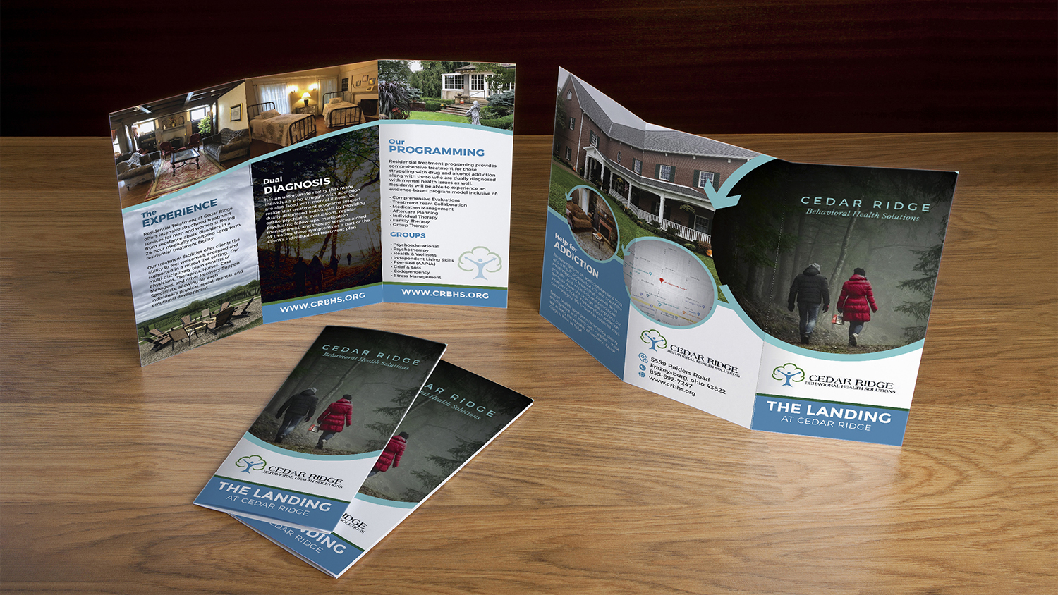 Broschüren-Design von Deziners Zone für dieses Projekt | Design #21043816