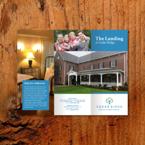 Brochure Design by barinix for this project | Design #21040824