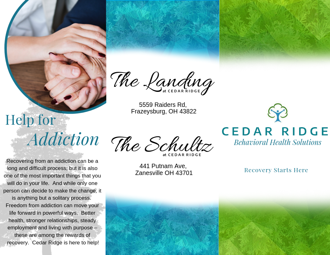 Brochure Design by taylorjohnsondesigns 2 for this project | Design #21073754