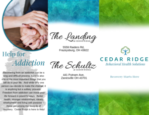 Design de Brochure par taylorjohnsondesigns 2 pour ce projet | Design : #21073754