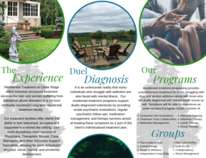 Design de Brochure par taylorjohnsondesigns 2 pour ce projet | Design : #21073755