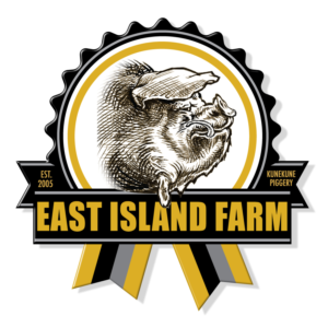Logo Design by Dennis Jackson Design