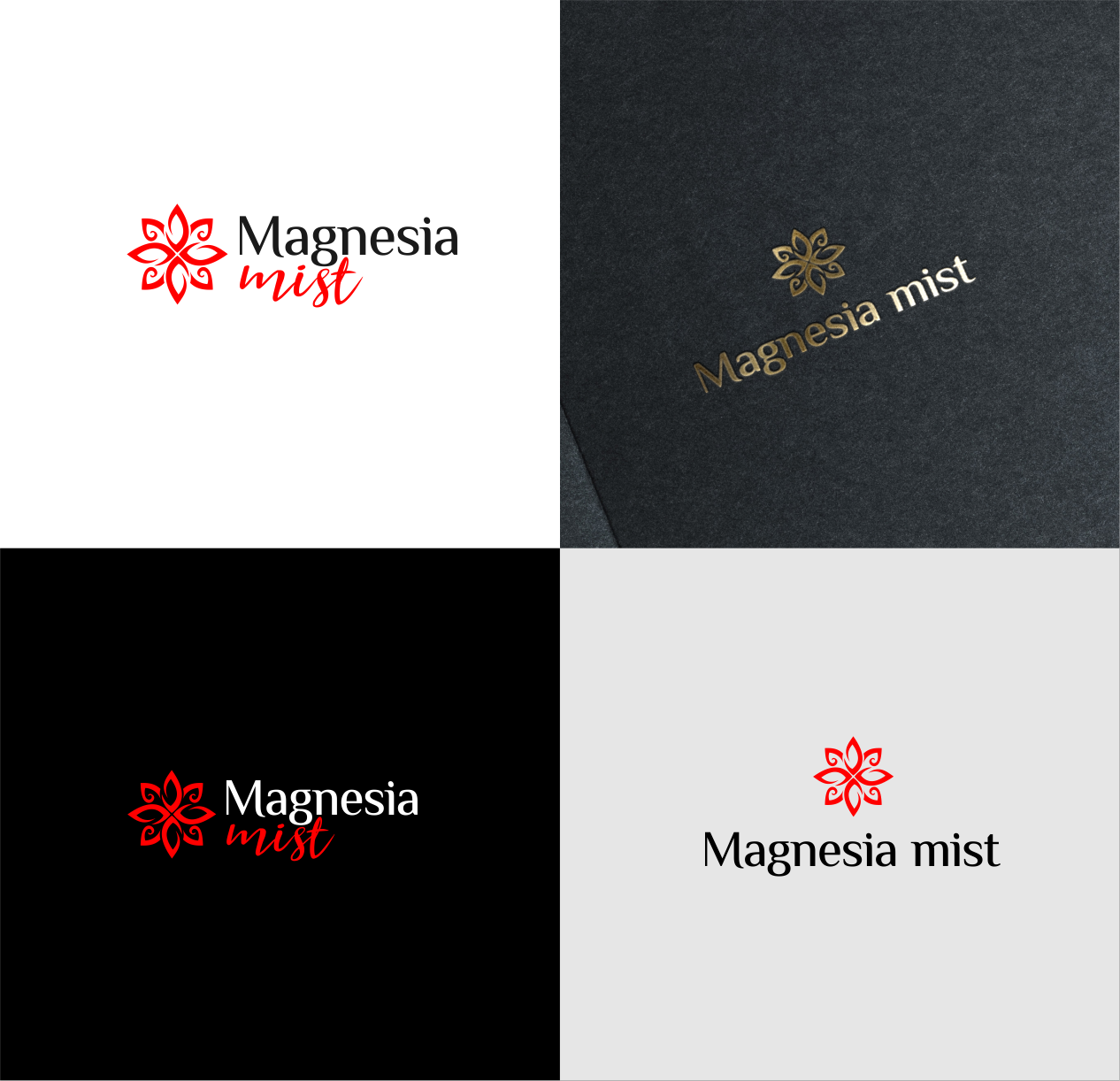 Diseño de Logo por *mary para Roto Wash | Diseño #21053771