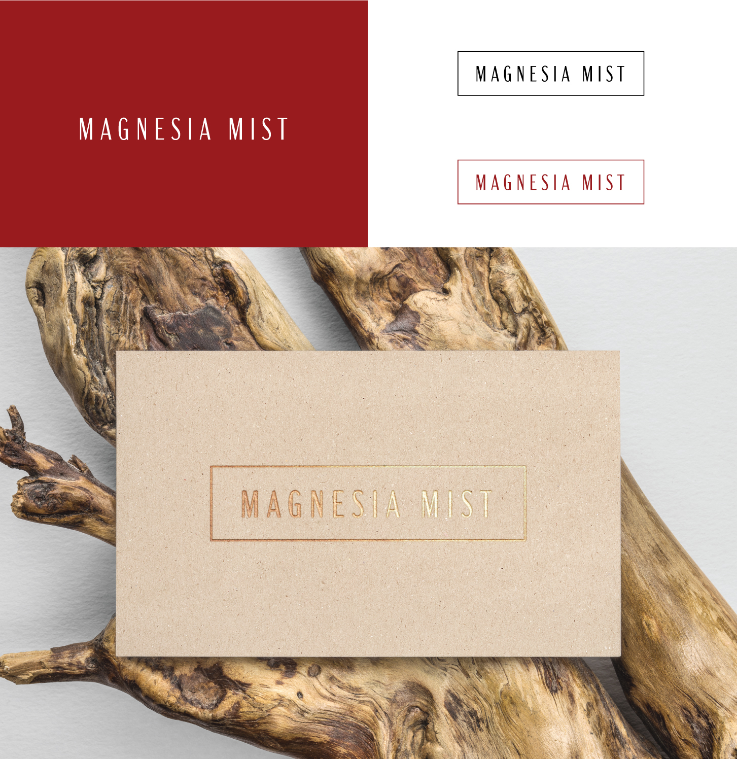 Diseño de Logo por Carry para Roto Wash | Diseño #21103883