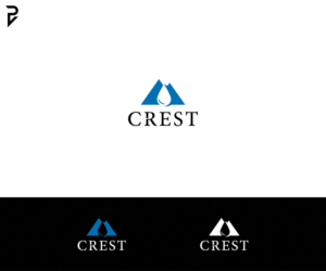 Logo Design by poisonvectors