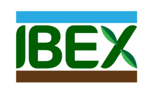 Logo Design by DesartS