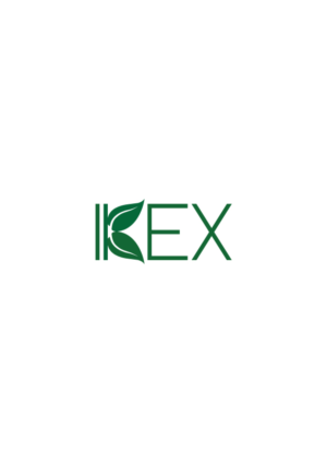 Logo Design by Naile Memmedova 2