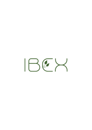 Logo Design by Naile Memmedova 2 for AGORA Solutions GmbH | Design: #21110967