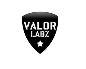 Logo Design by StanlyV2