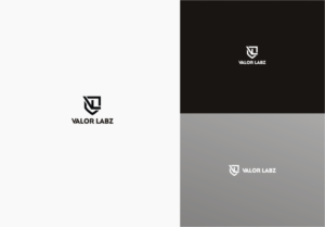 Valor Labz | Logo Design by CKS d e s i g n