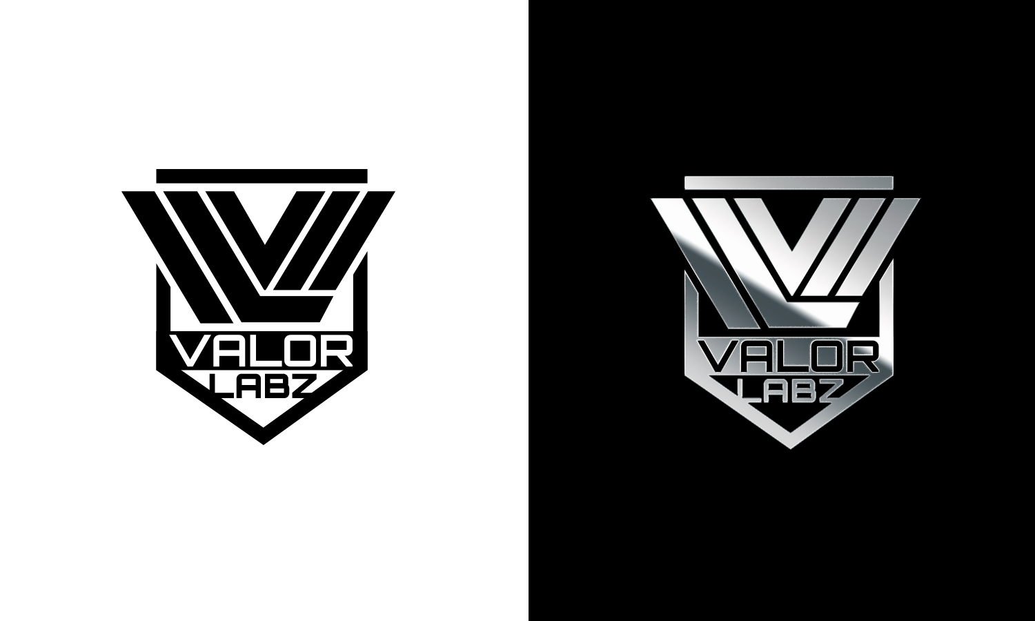 Logo-Design von Taya Bright für Valor Labz | Design #21116694