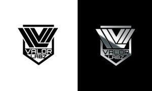 Logo-Design von Taya Bright für Valor Labz | Design #21116694