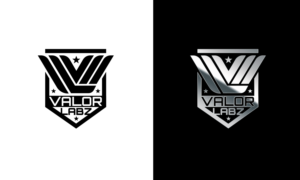 Valor Labz | Logo Design by Taya Bright