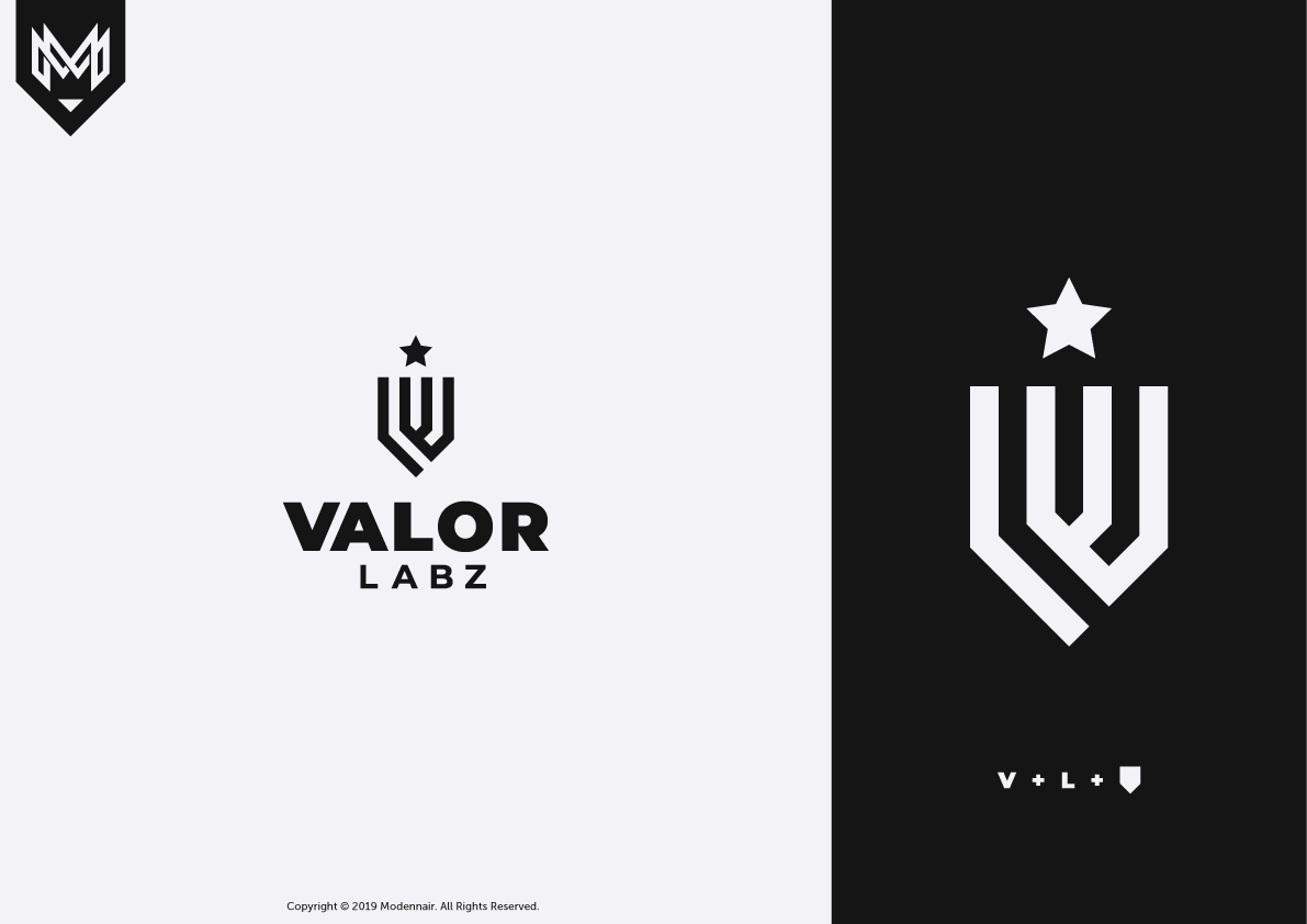 Logo-Design von Modennair Design für Valor Labz | Design #21077466