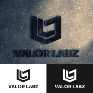 Logo Design by BluuStudio