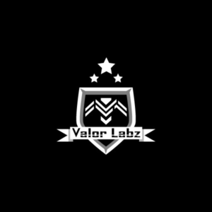 Logo-Design von angapmik für Valor Labz | Design #21082180