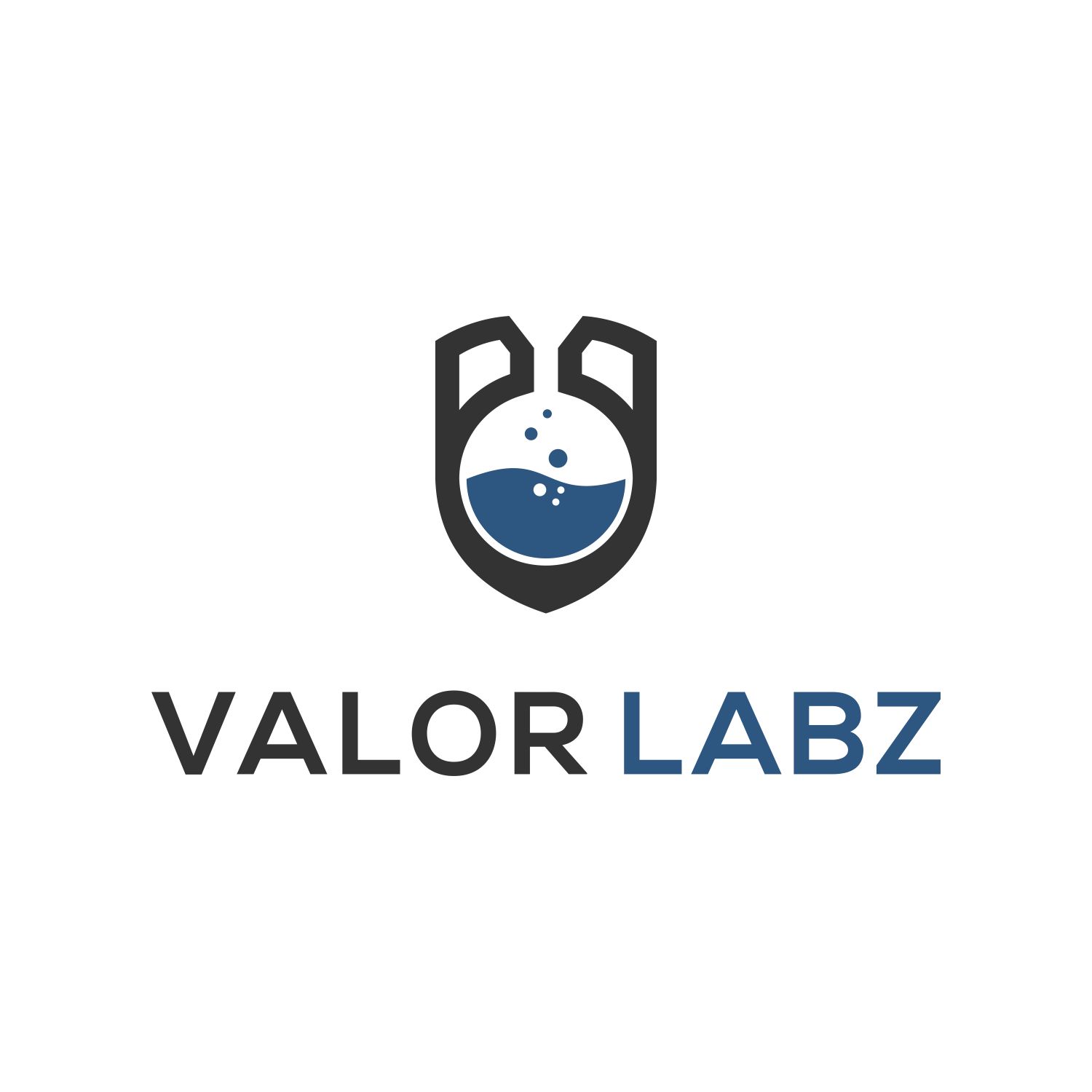 Logo Design by Jvmore98 for Valor Labz | Design #21064484