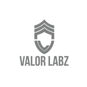 Diseño de Logo por guritas13 para Valor Labz | Diseño: #21089508