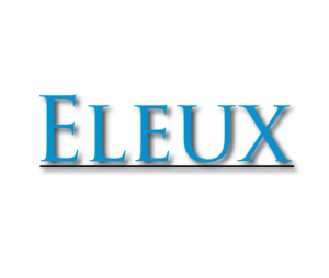 Logo Design by TheLogoLoom