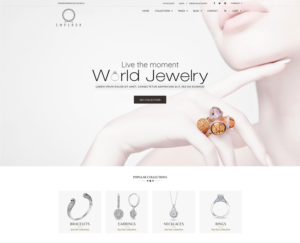 Shopify Design by Expert Designer