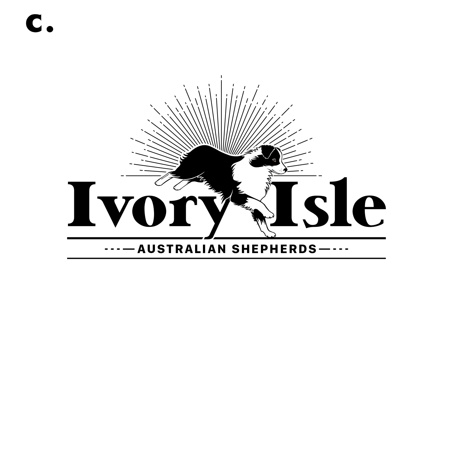 Diseño de Logo por borzoid para este proyecto | Diseño #21575302