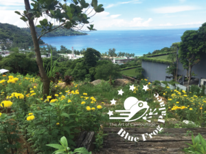 Logo Design by Filip M for this project | Design: #21124172