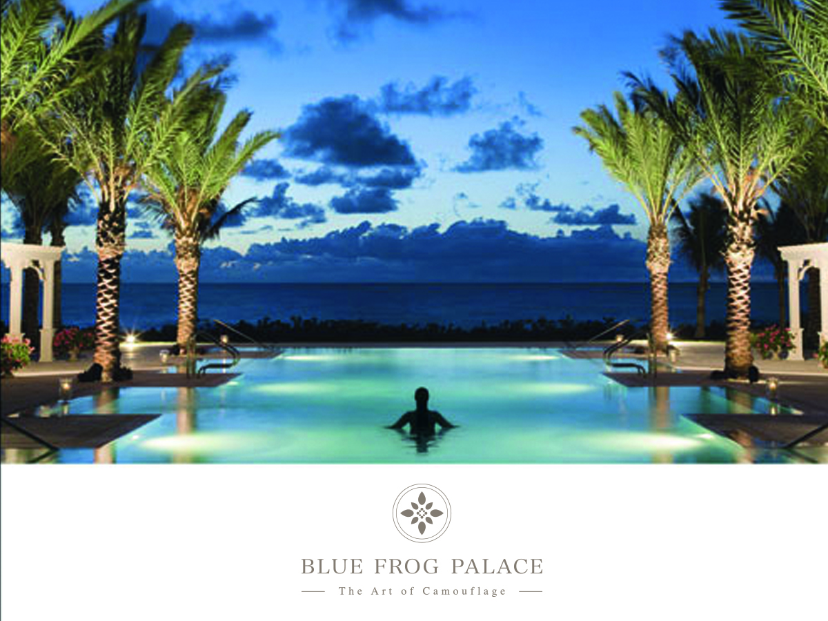 Logo Design by evieplusdesign for this project | Design #21267662