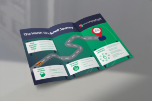 Infographic Design by Glen Mc Auley